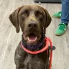 itsremithegsp