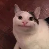 Dika_Ari