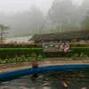 adeladel0612
