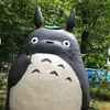 wwwww.com55