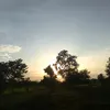 lek.lek526