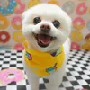 snowballthepomtese