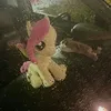 mylittlepownie