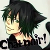 chatnoir_02