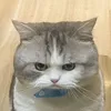 _noqkr91