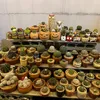 luan.loves.cactus
