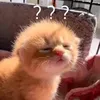 tramly_2710