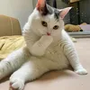 kaiiaraeyaa26