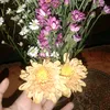 bilaaayaa14_