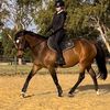 sav.eventing