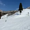 hirotomr