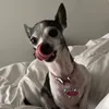 shelbywalker72