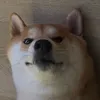 bongkotw
