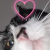 mmanoliss