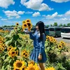 annyvu1