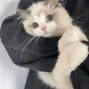 pinkylotsochi