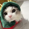 jjenbenebae