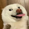 hwixingm58_