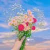 adzra_zayn2914
