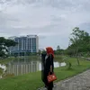 misdalelaa
