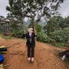 mawaruntukmawar_