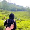 seftyanggraeni3