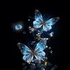 vllison07_