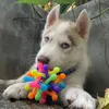 bean_thehusky