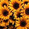 rtcm11