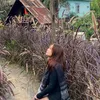 ma_iahn