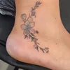liannekelley