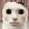 uwaaaaaaaaa_____