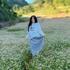 ping_091199