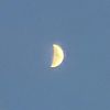 rachel_saccone1224
