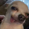 moahhhhh__
