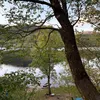 liaaaa_stt