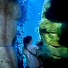 rejecthippie