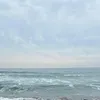 m______________0125