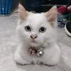 synstyasyh