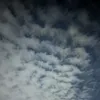 nhqnh68