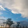 linweishao0