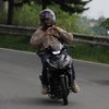y16zr_paul