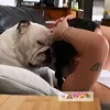 regimeg