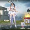 mycegil5