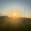janahnur234