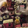 dobrev_1315