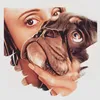 gus..the.frenchie