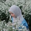 ds.angrni