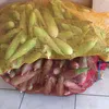 ikanmuj4hir