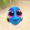 aeuio1hii